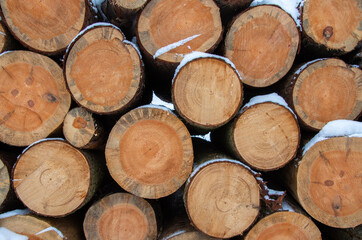 Roundwood stack snow-covered with view end face as texture or background