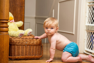 Mischeivious 10 month old Little baby boy crawling at home