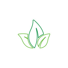 Leaf icon design template illustration