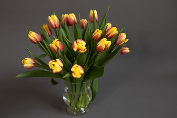Fototapeta premium bouquet of yellow-red tulips in glass vase on a grey background