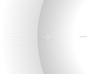 Abstract  grey white waves and lines pattern for your ideas, template background texture - Vector illustration