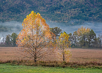 Dawn comes to a valley in Cades Cove.