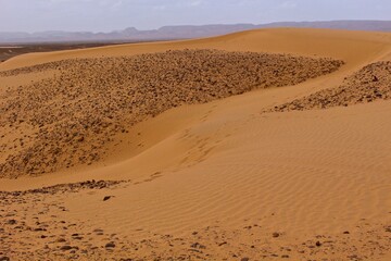 Pattern of dunes in Sahara, Morocco. 