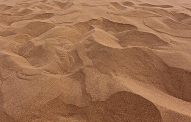 Pattern of dunes in Sahara, Morocco. 
