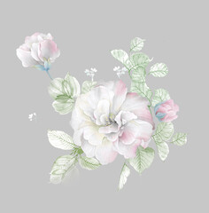
Flowers watercolor illustration.Manual composition.Big Set watercolor elements，Design for textile, wallpapers，Element for design,Greeting card