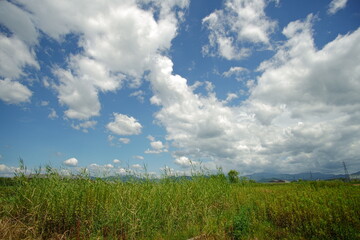 草原と空