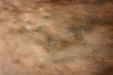 Shadow backgroun Portrait texture Portrait backdrop