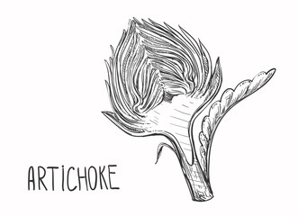 Hand drawn sketch black and white of vegetable artichoke, slice, leaf. Vector illustration. Elements in graphic style label, sticker, menu, package. Engraved style illustration.