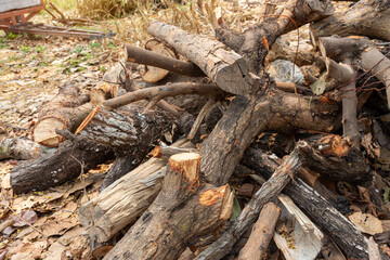 Fototapeta na wymiar A pile of stacked firewood, prepared for heating the house, Firewood harvested for heating in winter, Chopped firewood on a stack, Firewood stacked and prepared for winter Pile of wood logs.