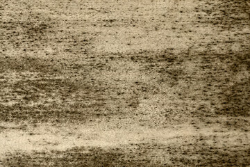 Shadow backgroun Portrait texture Portrait backdrop