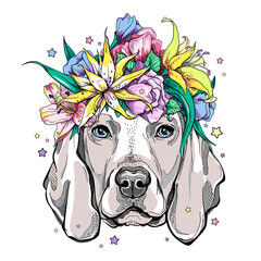 Cute weimaraner dog in floral wreath. Vector illustration in hand-drawn style. Image for printing on any surface