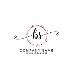 BS beautiful Initial handwriting logo template