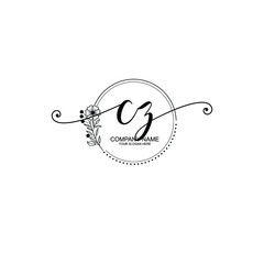 CZ beautiful Initial handwriting logo template