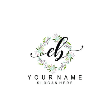 EB beautiful Initial handwriting logo template
