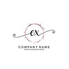 EX beautiful Initial handwriting logo template