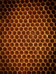 Hexagonal pattern of honeycomb