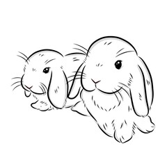 cute bunny illustration on white background