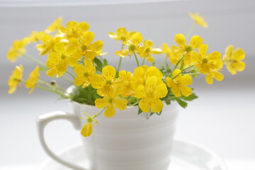White coffee mug with yellow field buttercups bouquet
