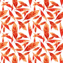 Seamless pattern. Orange watercolor bird feathers. Hand drawn Illustrations isolated on white background. - 420176478