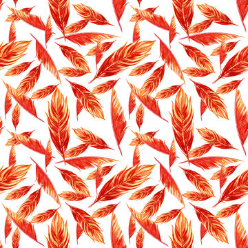Seamless pattern. Orange watercolor bird feathers. Hand drawn Illustrations isolated on white background.