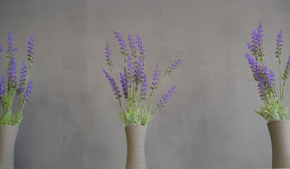 behind a gray background, in front there are three vases with lavada branches, cut vases