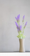 behind a gray background, on the right there is a vase with lavada branches. view of stories for instagram