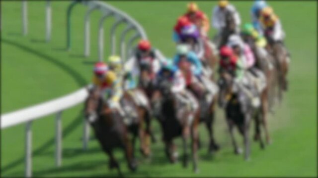 Unfocused shot of Horse race compete on a grass track. (Slow Motion)