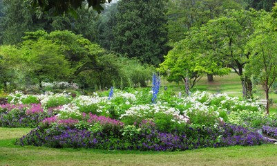 flowers in the park garden