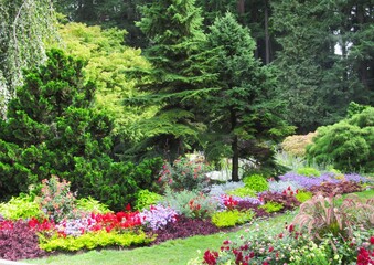 flowers in the  park garden