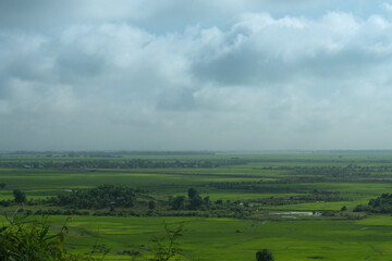 Fototapeta na wymiar a panorama of paddy field in Rakhine state, Myanmar