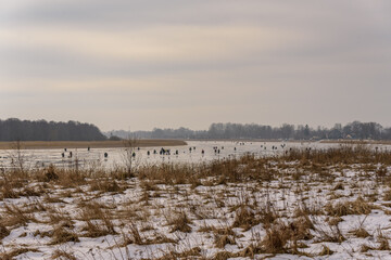 frozen river, bent and icy anglers