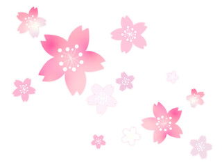 桜の花の背景素材