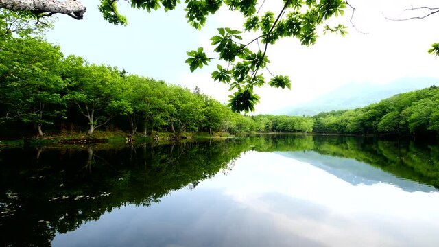 知床五湖の四湖,パン映像