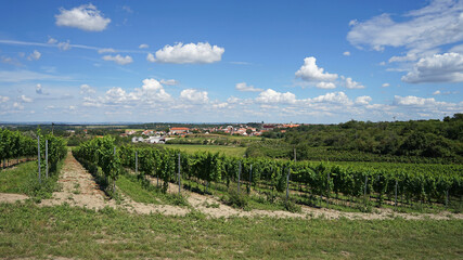 Fototapeta na wymiar Valtice and vineyards aerial panoramic view, popular tourist destination, wine tasting and bicycle tours concept, Moravia, Czech Republic