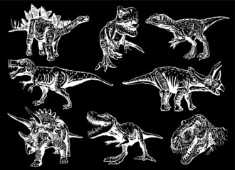 Vector big set of dinosaurs on black background,illustration,elements