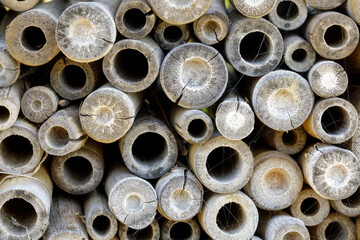 Cut and Stacked Up Decorative Bamboo Shoots