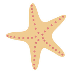 Starfish. A star living in the sea. Vector illustration. Isolated object, element on a white background