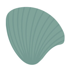 Sea shell. Seashell, a mollusc living in the sea. Hand drawn vector illustration. Isolated object, element on a white background