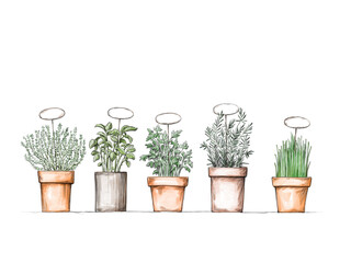 Verschiedene Kräutertöpfe mit Schildern