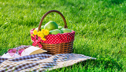 a picnic table covered with checkered tablecloth and picnic basket