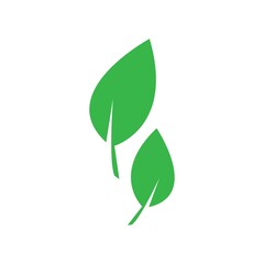 Leaf Logo Vector Illustration Business