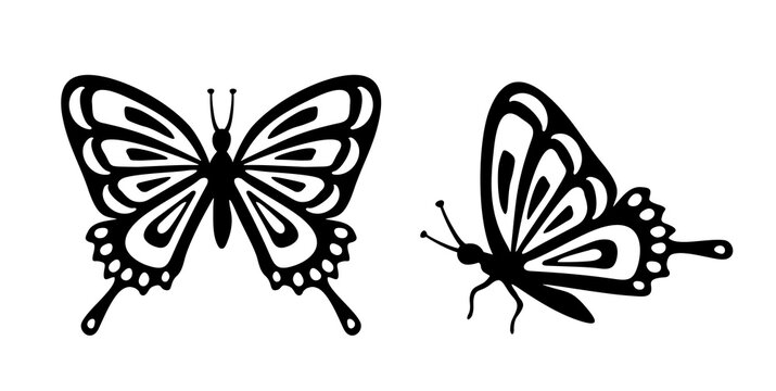 Butterfly set. Stencil butterfly, moth wings and flying insects. Butterflies tattoo sketch, fly insect black hand drawn engraving. Isolated vector illustration icon