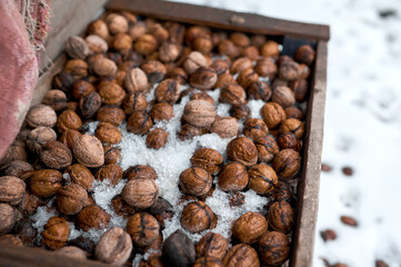Nuts covered with snow in a wooden box outside