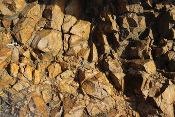 Weathered Rocks Background with Lichen Full Frame of Cliff 