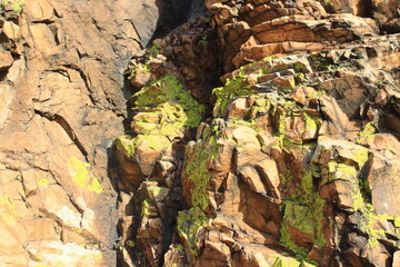 Weathered Rocks Background with Lichen Full Frame of Cliff 