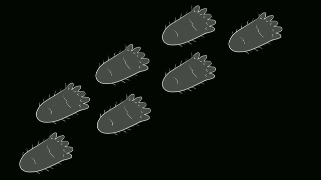 Steps of a walking Bigfoot. Sasquatch's footprints are comical.