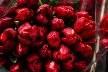 bouquet of tulips close up