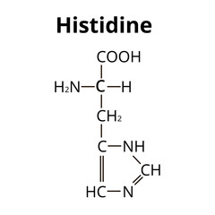 Amino acid Histidine. Chemical molecular formula Histidine amino acid. Vector illustration on isolated background