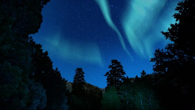 Winter Alpine Mountain Forest and Aurora Borealis Green Loop Northern Lights