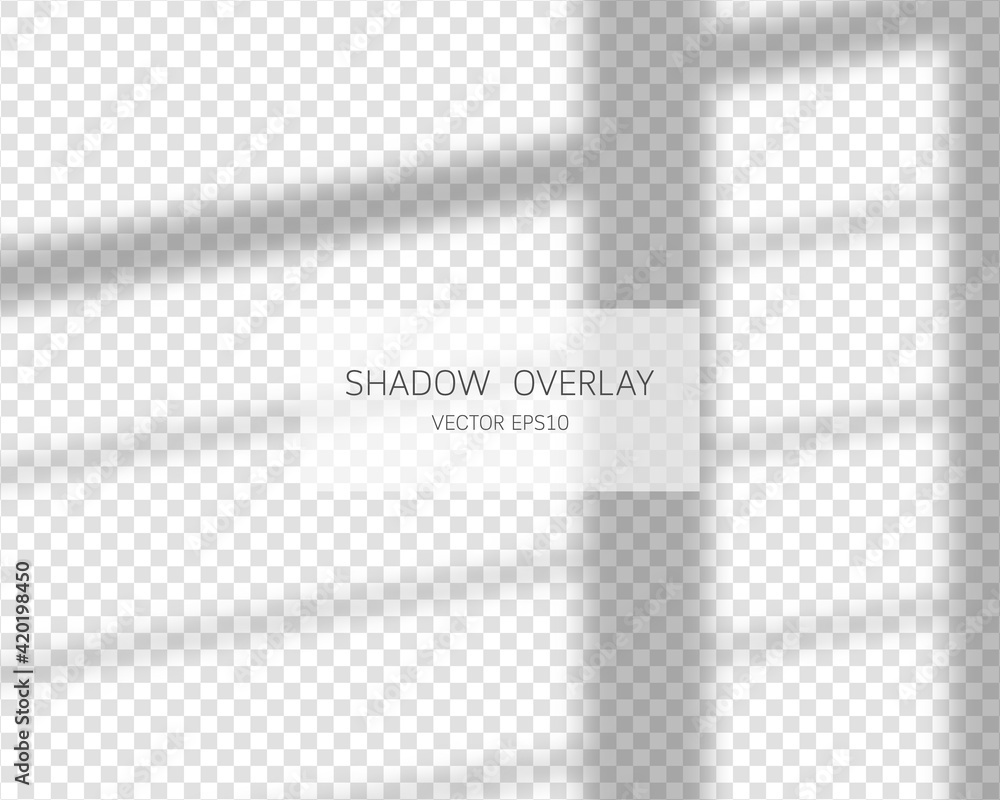 Poster shadow overlay effect. natural shadows from window isolated on transparent background. vector illust